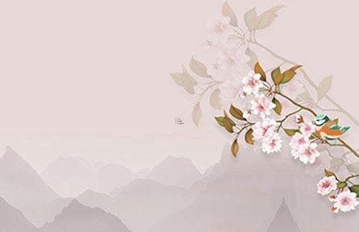 屬龍2023年多大年齡，2023年屬龍要出大事