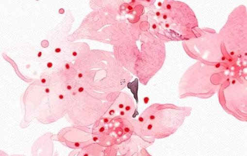 農歷2月10號是什么星座 農歷1119日生日是什么星座