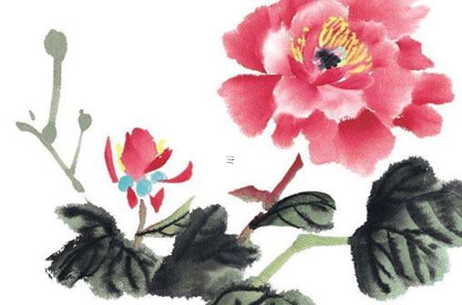 屬兔36本命年的大忌，屬兔本命年忌諱什么