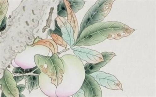 屬相配對查詢男女 屬相婚配