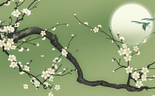 虎寶寶忌什么屬相兄妹 虎農(nóng)歷幾月出生帶財(cái)