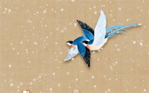 屬龍最適合結婚的年齡,屬龍的最佳婚