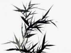 屬羊人一生命運與姻緣 屬羊的一生婚姻與命運