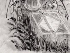 十大凈化空氣植物 十大凈化空氣植物市政