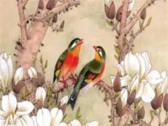 98屬虎男和00屬龍女相配嗎