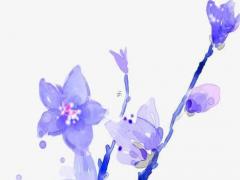 白羊男喜歡你卻不主動(dòng)找你聊天 白羊男不主動(dòng)找你聊天