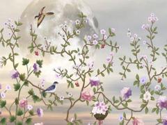 2023年1996年屬鼠女最佳婚配,1996年屬鼠男孩2023年運勢