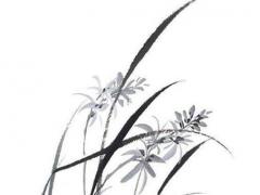 女人屬豬找對象找屬啥的好,屬豬女適合找屬啥的對象多大