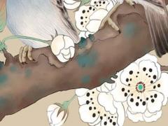 農(nóng)歷六月十九是哪位神仙的生日 農(nóng)歷六月十九是觀音菩薩