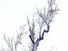 男屬馬配女屬龍婚姻如何,男屬馬的和女屬龍的婚姻會怎么樣