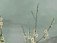 1992年農歷六月十五 1992年農歷六月十五是什么命