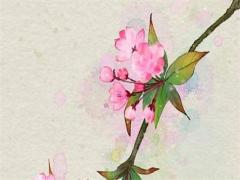 96年屬鼠男一生,96年屬鼠男一生財運怎么樣