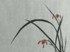 63年屬兔本命年