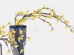 56年的屬猴運(yùn)氣 56年屬猴的人的命運(yùn)