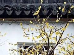 八字小運(yùn)是什么意思 八字小運(yùn)如何排