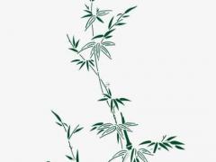 屬狗的和屬蛇的人婚配好不好呢 屬狗和屬蛇婚配合適嗎