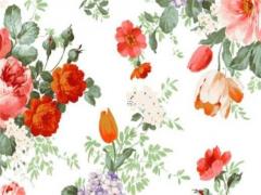 92年屬猴女劍鋒金佩戴什么飾品,92年猴劍鋒金命2023年運勢