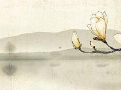 算命說什么是一品夫人命意思 什么叫一品夫人