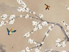 八字喜木忌神是什么意思 八字喜神是木的人應該注意什么