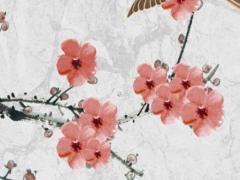 屬豬女最合適的屬相,屬豬女適合配什么屬相