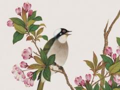 命運2pve什么意思 命運2pvp和pve是什么意思