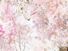 20170806農歷是多少 20170418農歷是多少