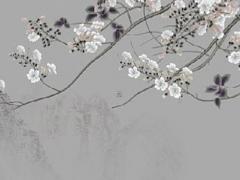 1996年屬鼠男和94年屬狗婚姻,1996年鼠男與1994年婚配