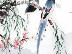 屬羊2023年桃花運(yùn)勢(shì)如何看