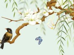 屬雞和屬狗相沖嗎 屬雞和屬狗的合不合