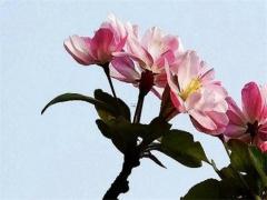 屬龍男與屬龍女相結合怎么樣