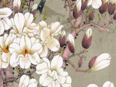 怎樣學好生辰八字知識 生辰八字教程