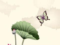 1963年屬兔人的一生婚姻,1963年屬兔一生感情如何