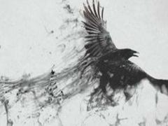 83屬豬的五行屬啥 83年屬豬的五行屬什么