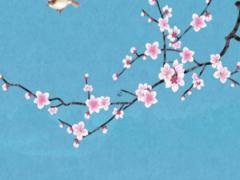 兒童電子病歷怎么查詢 兒童電子病歷怎么查詢真偽