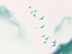 老公屬蛇老婆屬豬 老公屬蛇我屬豬這樣的婚姻和嗎