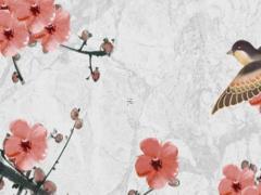 女方屬虎出嫁忌四個屬相 1998屬虎最佳結婚日子