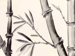 屬鼠2023年已婚運勢