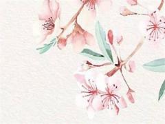 屬龍聰明頭像 屬龍風水頭像