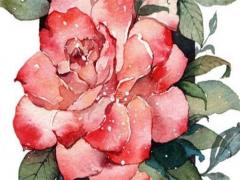 公歷十二星座的月份表 公歷12星座