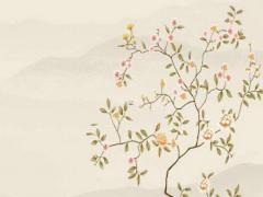 生肖屬虎一生的克星是誰 屬虎人一輩子的克星