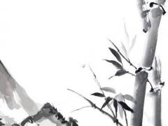 算命說孤樹是什么意思 孤樹為什么不能砍