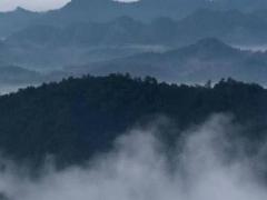 屬兔跟屬羊婚姻相配嗎,屬兔和屬羊的人配嗎