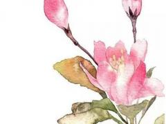 2024猴年寶寶取名方法大全 2024年屬猴的高考順利嗎