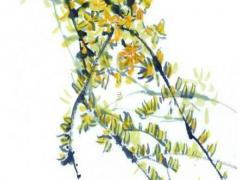 有沒有算八字說命苦的書 算命的說命苦