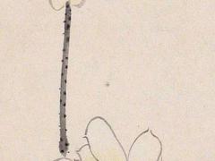 肖相蛇和肖相虎婚配嗎 虎肖和蛇肖可以結婚嗎