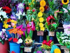 夢見頭發纏手上 夢見頭發纏繞自己