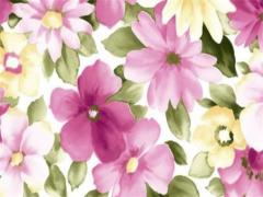 屬兔和龍婚配好不好,屬兔跟龍配嗎