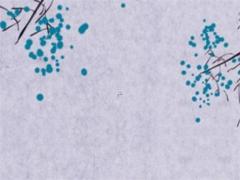 五行命格查詢表格 命格五行測算