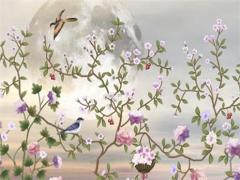 什么樣的人才是克夫的寡婦命 什么女人是克夫女