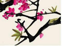 屬鼠的和什么合財,屬鼠跟屬什么的合財